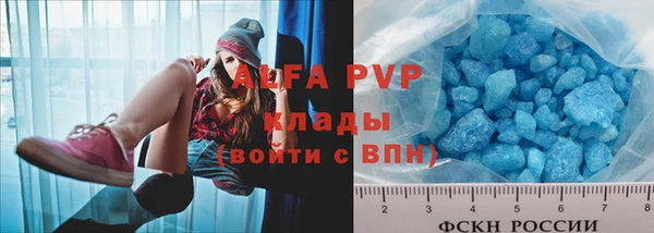 сатива Армянск
