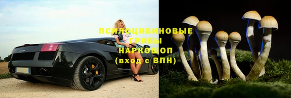 крисы Аркадак