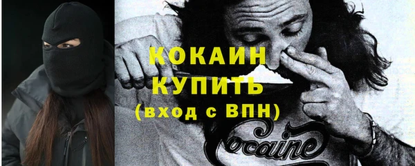 сатива Армянск