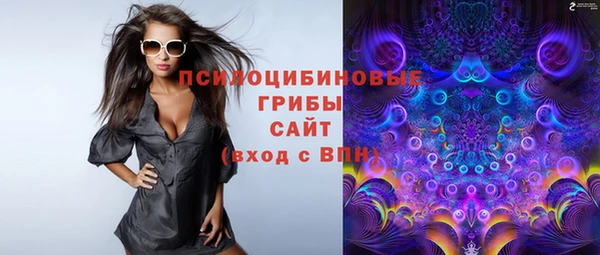 сатива Армянск