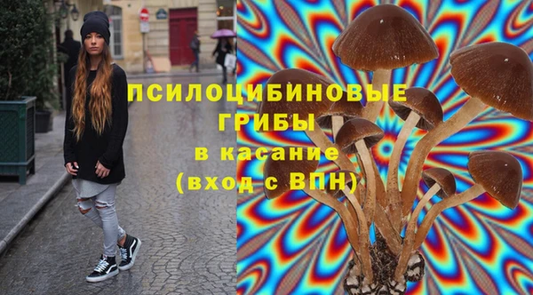 крисы Аркадак